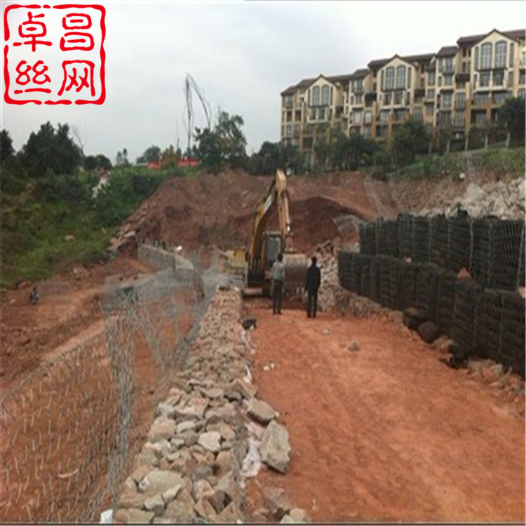 1654394598571042375.jpg 卓昌 (304).jpg