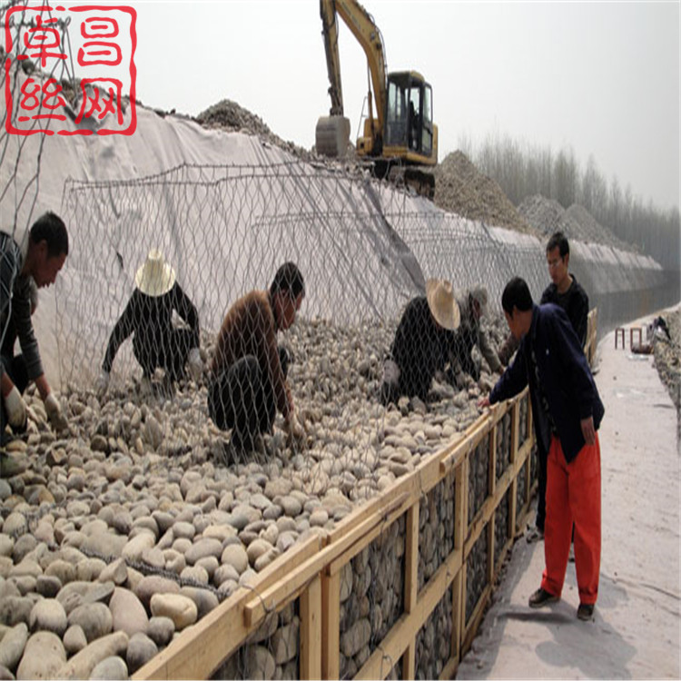 1656207173647058167.jpg 952.jpg