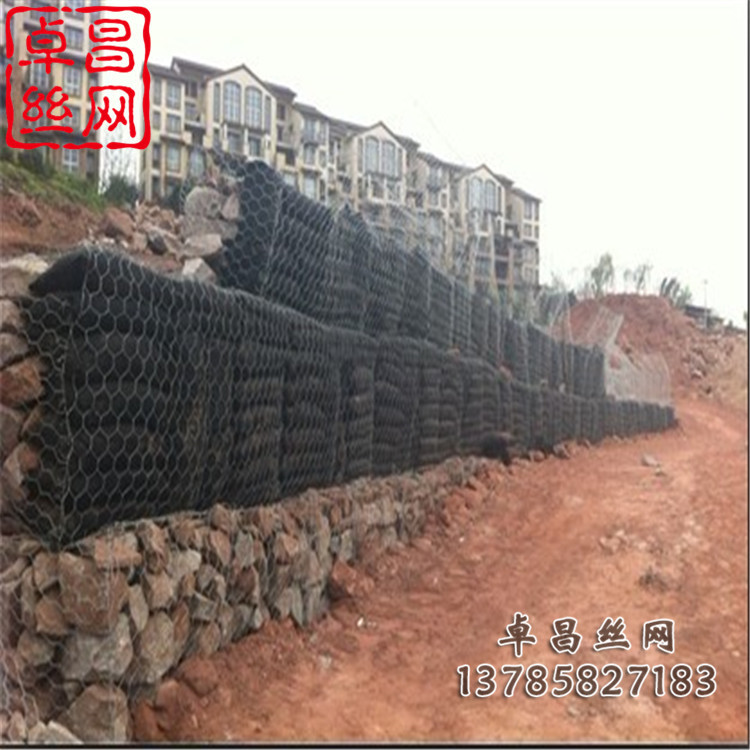 1657419224683006862.jpg 卓昌 (302).jpg