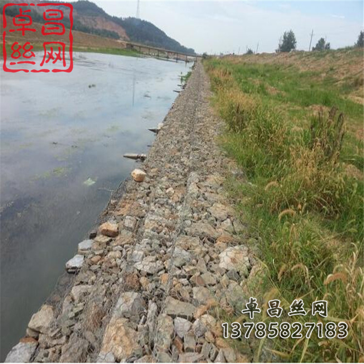 1661045212567039813.jpg 1269.jpg