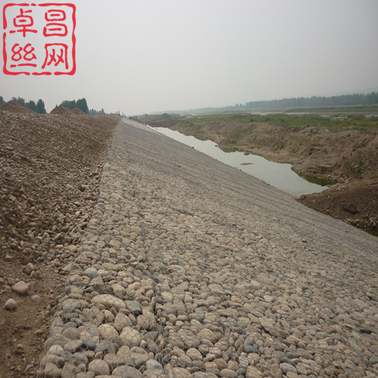 1695776914762006263.jpg 961_副本.jpg