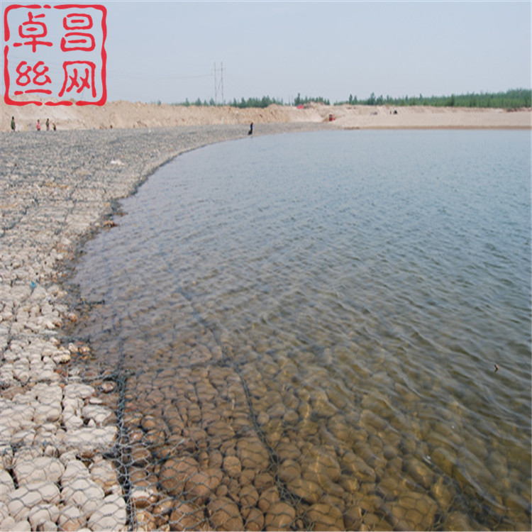 1695951703231051103.jpg 956.jpg