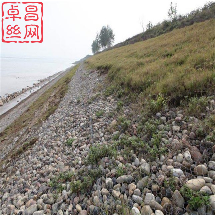 1696557540843087116.jpg 608.jpg